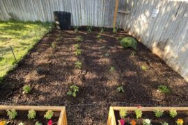 Finally The Garden Is In The Ground!