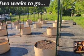 Two more weeks to go