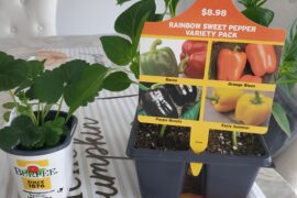 Help me understand these multipacks