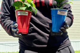 I ran out of soil for my container garden... lol