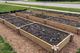 6a garden done planted.