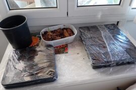 I got hot pepper seeds in the seed trays (don't mind the dahlia containers)