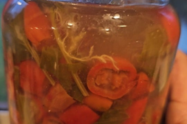Is this a fungal growth in my hot pepper ferment?