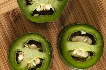 2, 3 and 4 seed chambers (Locules) in my jalapenos. Still a bit mystified why they can be bilocular, trilocular and multilocular.