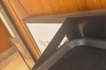 Cockroaches in Bold Street Taco Bell