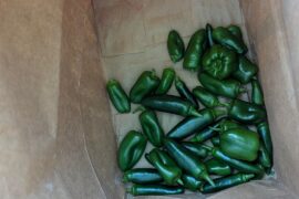 First "harvest"