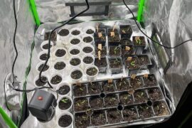 They grow up so fast!