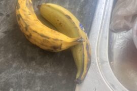 Plantain