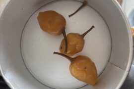 Need help identifying peppers