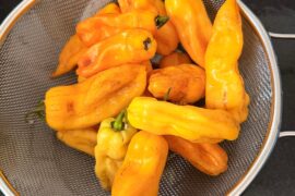 Homemade Madame Jeanette Sambal