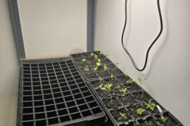 Finally got a growlight setup