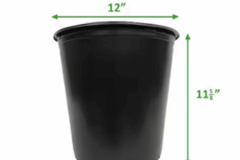 5 Gallon pots big enough for Nardello and Marconi?