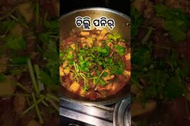 ଚିଲ୍ଲି ପନିର୍🍲#chilipanner #food #recipe #youtubeshorts #shorts #khusivlog