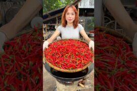 Cooking yummy deep fried chili recipe