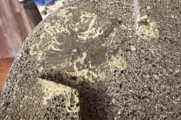 Molcajete question?