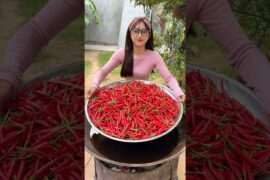 Cooking yummy deep fried chili recipe
