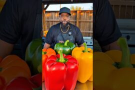 I Made Giant Stuffed Bell Peppers