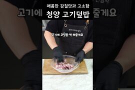 맵싹한 청양 고기덮밥 이거 요물임