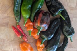 Humble Harvest