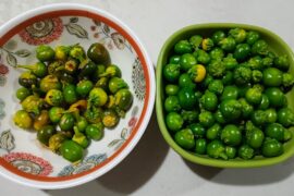 Desperate harvest