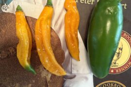 I Saved Seeds from a Fatalii Last Year and the Plant Grew These.