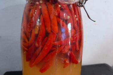 first fermented hot sauce (sriracha flavor), then turned the strained paste into chili garlic oil