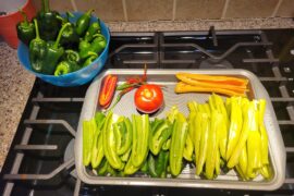 Getting my peppers ready for the freezer.