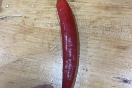 What is my pepper from the store? It’s not hot at all and was labeled as a red sweet pepper