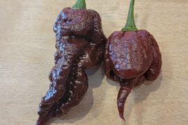 Why your pepper plant is giving you two different looking pods (and no, they didn't cross)