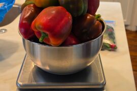 My pepper harvest!