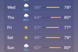 Is it okay to fertilize pepper plants in this weather?