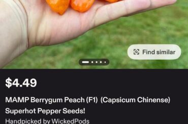 Got some new seeds what do you guys think