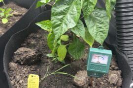 Soil Drainage Issues?