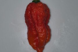Which pepper is this?