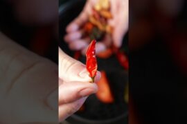 Molho de Pimenta Artesanal na Air Fryer - Molho mexicano de pimenta!