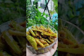 Rajasthani mirchi fry🥵 #newमारवाड़ीcomedy #recipe #food  #besanMirchifry