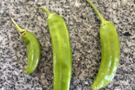 Maybe a long shot but can anyone tell me what these peppers are?