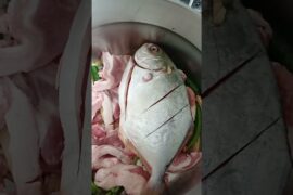 POMPANO COOK WITH VINEGAR ,ONION, GINGER CHILI AND PORK BELLY  #cook #subscribe  #simplecooking