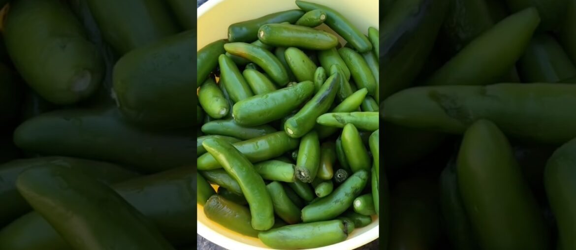 cómo conservar  Chiles  súper Fácil #viral #cookingchannel #videoshort#kitchen#