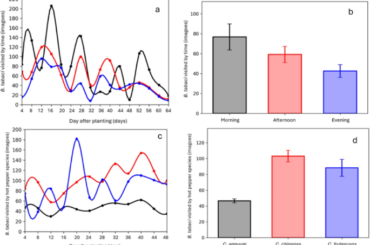 Interaction of Capsicum spp. with Bemisia tabaci and pepper yellow leaf curl virus (PepYLCV) Disease