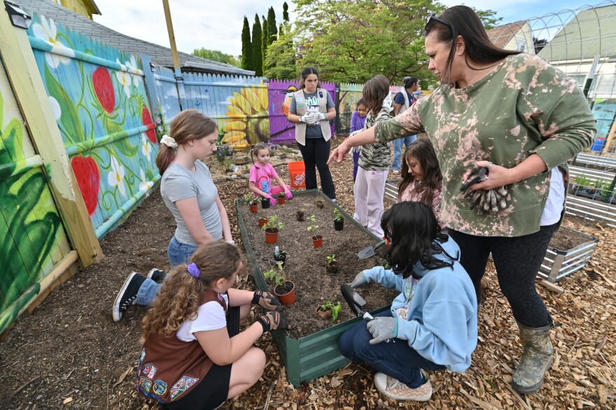 Jayanne Czerniakowski started the Green Neighbors Network on Frederick street to help the community and share the crops, she explains why some plants are planted together with Girl Scouts.