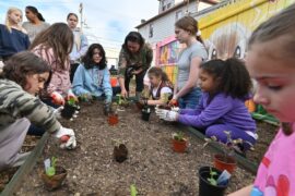 PLANT PEOPLE: New Kingston nonprofit, community garden rooted in sustainability, education