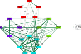 Phenotypic variability of plant architecture, easy destemming, and yield for accelerated selection for mechanical harvestability in chile pepper
