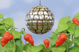 How to Grow Your Own Hot Peppers at Home