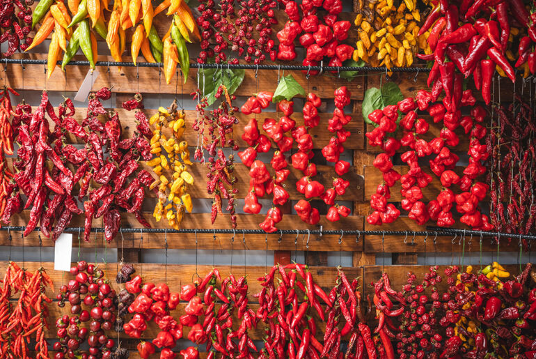 an array of different types of chili peppers hung up to dry on strings