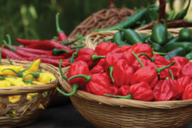 Grow Peppers To Spice Things Up At Dinner & Market