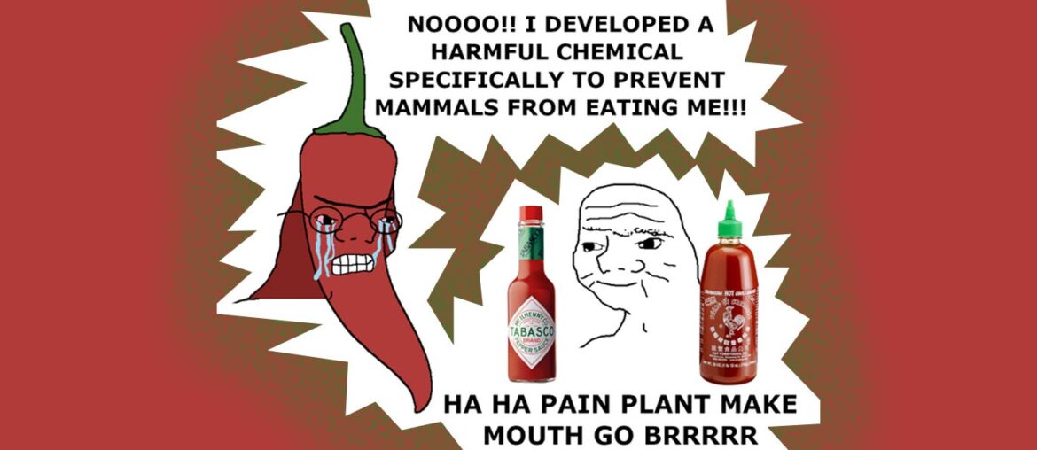 The Darwinian Battle Royale Between Man and Pepper