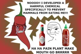The Darwinian Battle Royale Between Man and Pepper