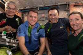 NASA Broke 2 World Records After Growing Chile Peppers on ISS