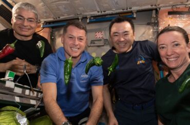 NASA Broke 2 World Records After Growing Chile Peppers on ISS